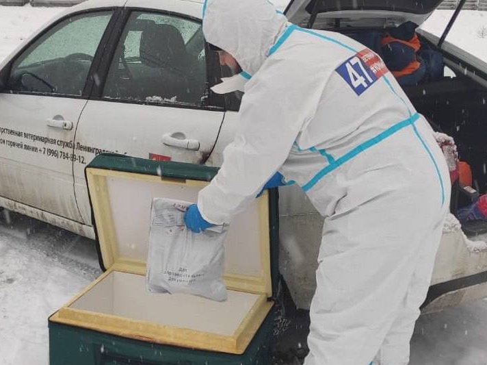 Госветслужба Ленобласти провела внеплановые учения по защите от птичьего гриппа