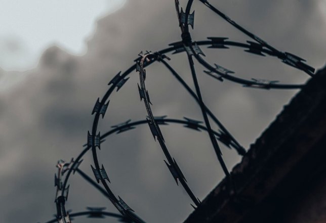 Фото: freepik Осужденный в США россиянин Александр Винник вернулся на родину - Освобождение гражданина РФ произошло в рамках обмена.