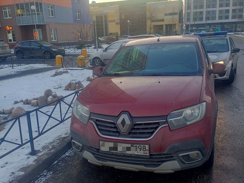 Росгвардейцы задержали иномарку мошенников в Петербурге - Днем 5 февраля во Фрунзенском районе Санкт-Петербурга разыскивали Renault, который использовали моше