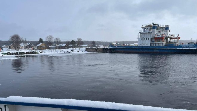 Рыбное хозяйство в Подпорожском районе примет 200 тысяч икринок форели из Италии - Рыбное хозяйство в Подпорожском районе Ленобласти готовится к важной поставке.