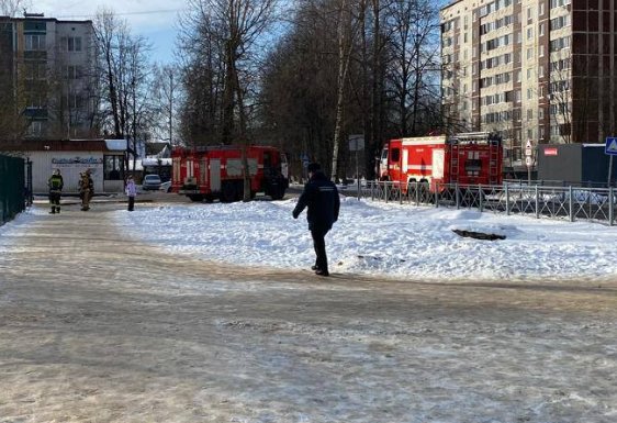 В Отрадном эвакуировали школу после анонимной угрозы - Образовательное учреждение получило сообщение о минировании здания 26 февраля.