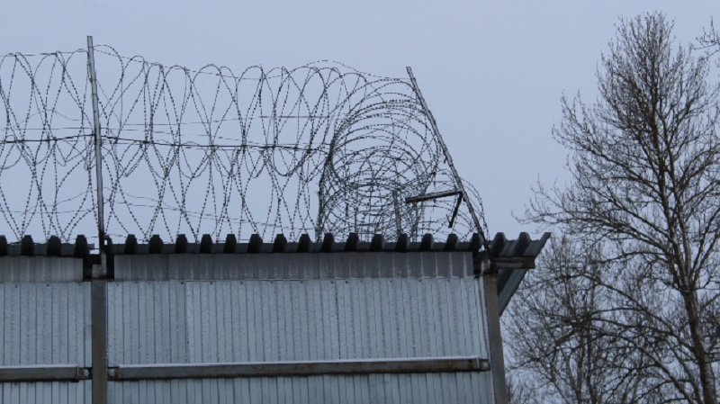 Мужчину отправили в колонию за избиение знакомого в Лужском районе - Суд приговорил 32-летнего жителя к двум годам колонии общего режима за жестокое избиение знакомого.