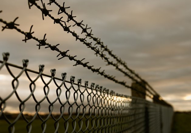 Фото: freepik США освободят находящегося в заключении гражданина России - После освобождения американца Марка Фогеля из российской тюрьмы Вашингтон предпримет аналогичный шаг