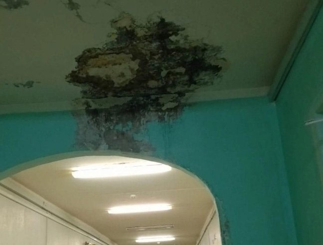В Сланцевской школе приведут в порядок кровлю и покрытые грибком стены после вмешательства прокуратуры - Некоторые работы уже были проведены, заявили в надзорном ведомстве.