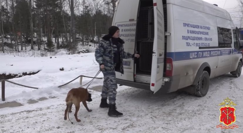 Полиция искала нелегальных мигрантов в частном секторе Усть-Луги - Полицейские проверили свыше 250 граждан, среди которых выявили около 50 мигрантов.