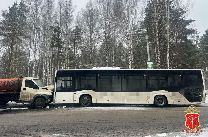 Грузовик и автобус столкнулись во Всеволожском районе - На Березовой аллее в деревне Бор Всеволожского района 2 февраля около 14:15 столкнулись грузовик ГАЗ