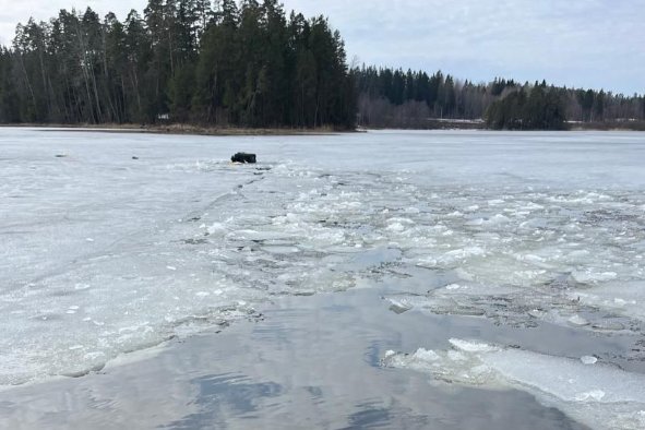 Фото: Аварийно-спасательная служба ЛО На Ладожском озере нашли мертвым пропавшего на выходных рыбака - Мужчина ушел на рыбалку в районе посёлка Берёзово и не вернулся.