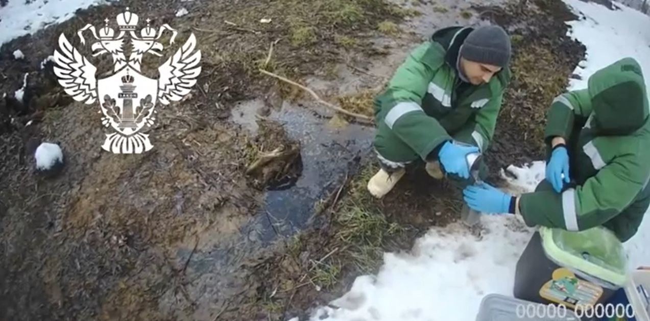 В сливаемых в Ижору стоках нашли превышения загрязняющих веществ - В городе Тельмана Тосненского района после сообщений о сбросах канализации в реку Ижора сотрудники Р