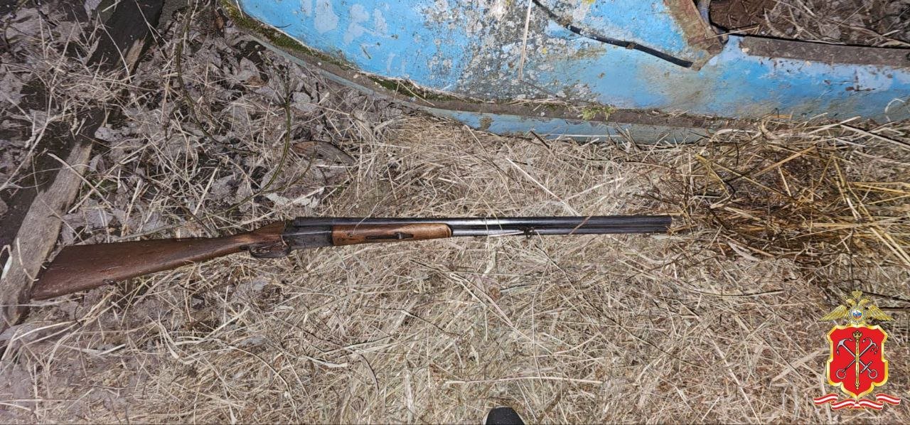 В Волхове мужчина выстрелил из ружья в соседскую собаку - Свой поступок он объяснил тем, что накануне собака якобы залезла в его курятник и съела двух куриц.