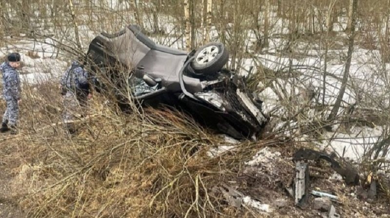 Росгвардейцы спасли из перевернувшейся машины водителя и его дочь возле Белоострова - Возле Белоострова водитель «Тойоты» не справился с управлением и съехал в кювет, иномарка перевернул