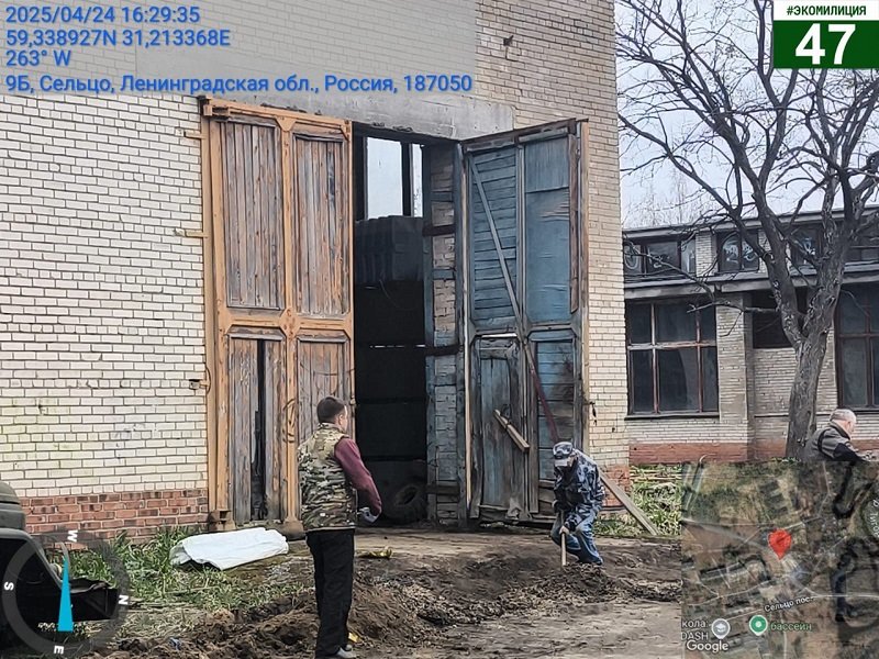 Химические отходы хранили недалеко от жилых домов в Тосненском районе - Как сообщила глава областного комитета госэконадзора Рамила Агаева, зафиксированы случаи хранения хи