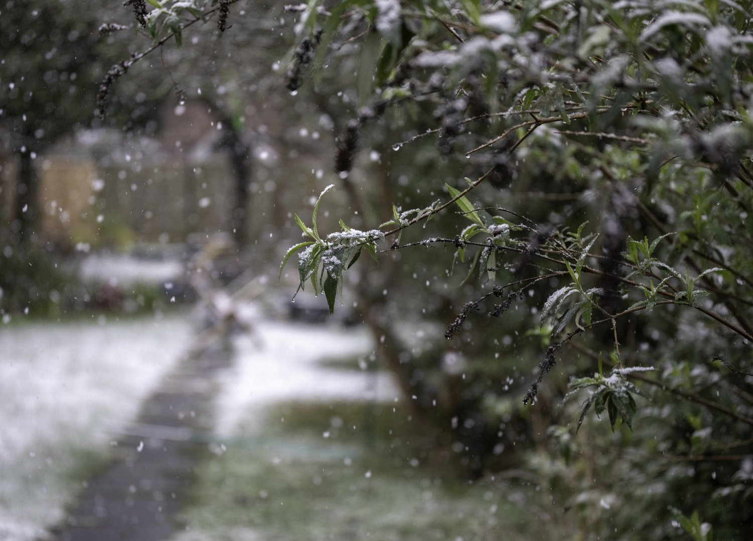 Небольшие осадки и до +8°C и гололедица – погода в Ленобласти на 4 апреля - Днем местами порывистый ветер.