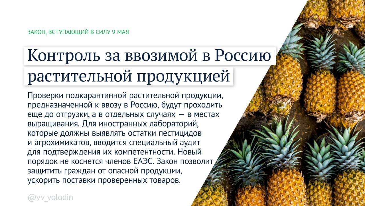 Володин перечислил законы, которые начнут действовать в мае - В частности, повышается контроль за деятельностью иноагентов, а также тех, кто бежал из страны.
