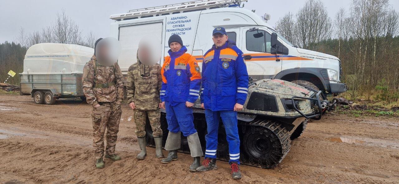 Заблудившихся мужчин вывели из леса в Волосовском районе - Медицинская помощь мужчинам не понадобилась.