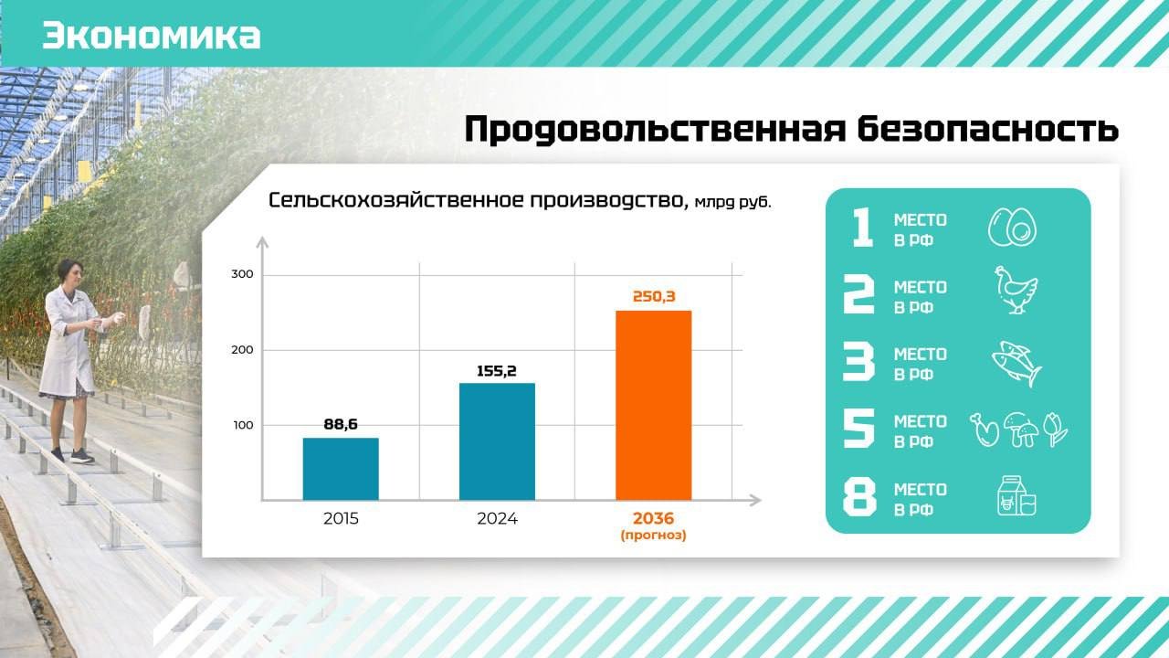 Дрозденко: Ленинградская область обеспечивает на 100% продовольственную безопасность нашего региона - Глава 47 региона сегодня, 10 апреля, выступая с ежегодным отчетом перед депутатами, отметил, что для