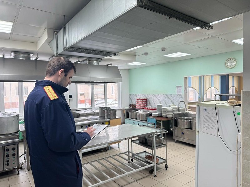Следователи проверяют школу Кировска с тараканами в столовой. Насекомые заползают в тарелки учеников - Следственный комитет проводит проверку по сообщениям о тараканах в одной из школ Кировска Ленинградс