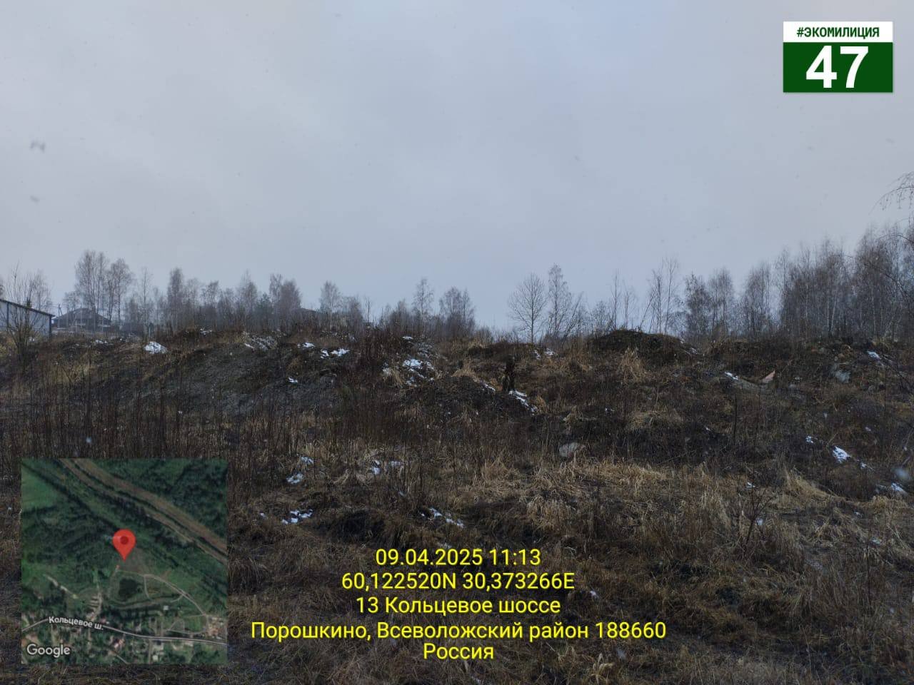 Суд обязал владельца участка в Порошкино ликвидировать несанкционированную свалку - Калининский районный суд Санкт-Петербурга признал владельца земельного участка в деревне Порошкино В