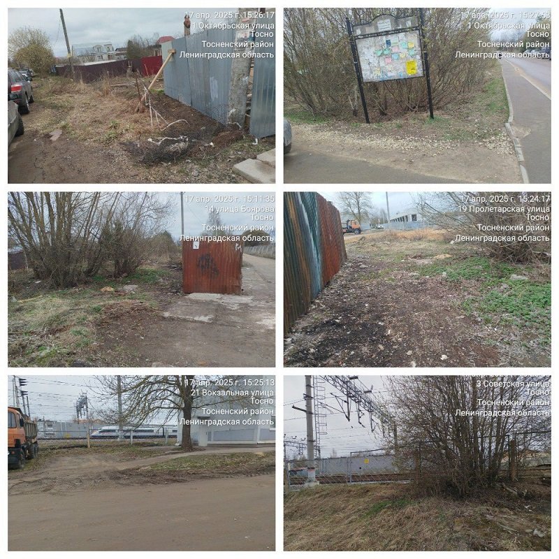 В Тосно ликвидировали нелегальные свалки - В Тосно после жалоб жителей на стихийные свалки вблизи железной дороги и улицы Пролетарской сотрудни