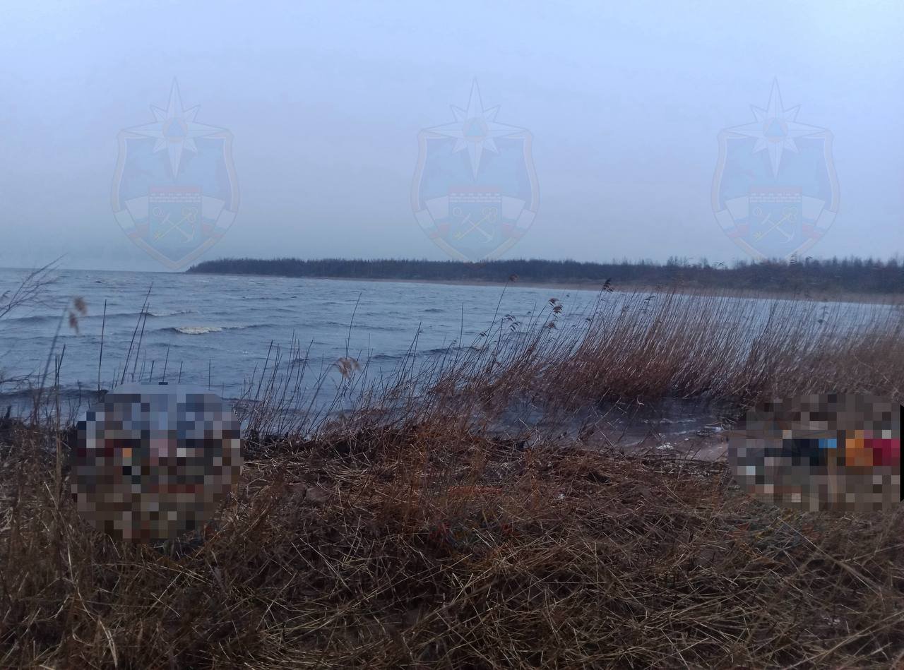 Тела двух человек выбросило на берег Ладожского озера - Двое мужчин отправились в плавание на лодке, а затем пропали.