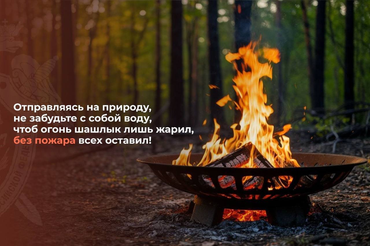 Следственный комитет напоминает о правилах пожарной безопасности во время пикников - С наступлением майских праздников многие люди планируют провести время на природе, устраивая пикники
