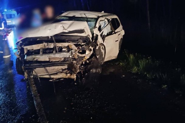 Один человек погиб и пятеро пострадали в ночной аварии с лосем на трассе «Кола» - Проводится проверка.