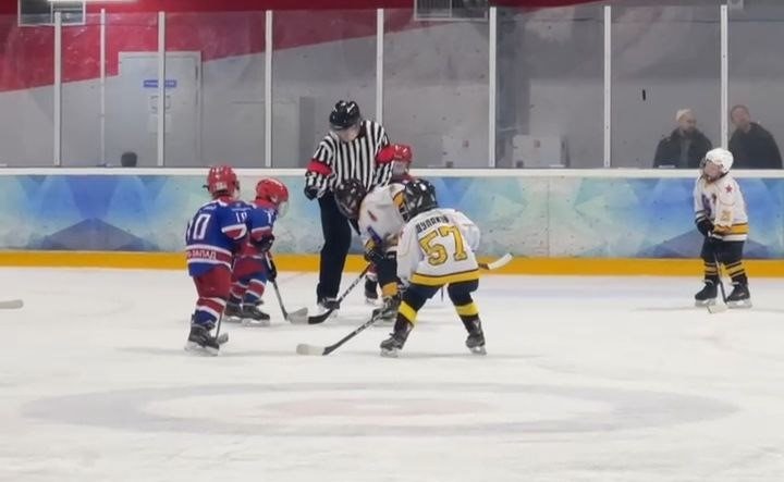 Юные хоккеисты показали свои умения на фестивале в честь Дня Победы в Колтушах - В соревнованиях участвовали восемь команд.