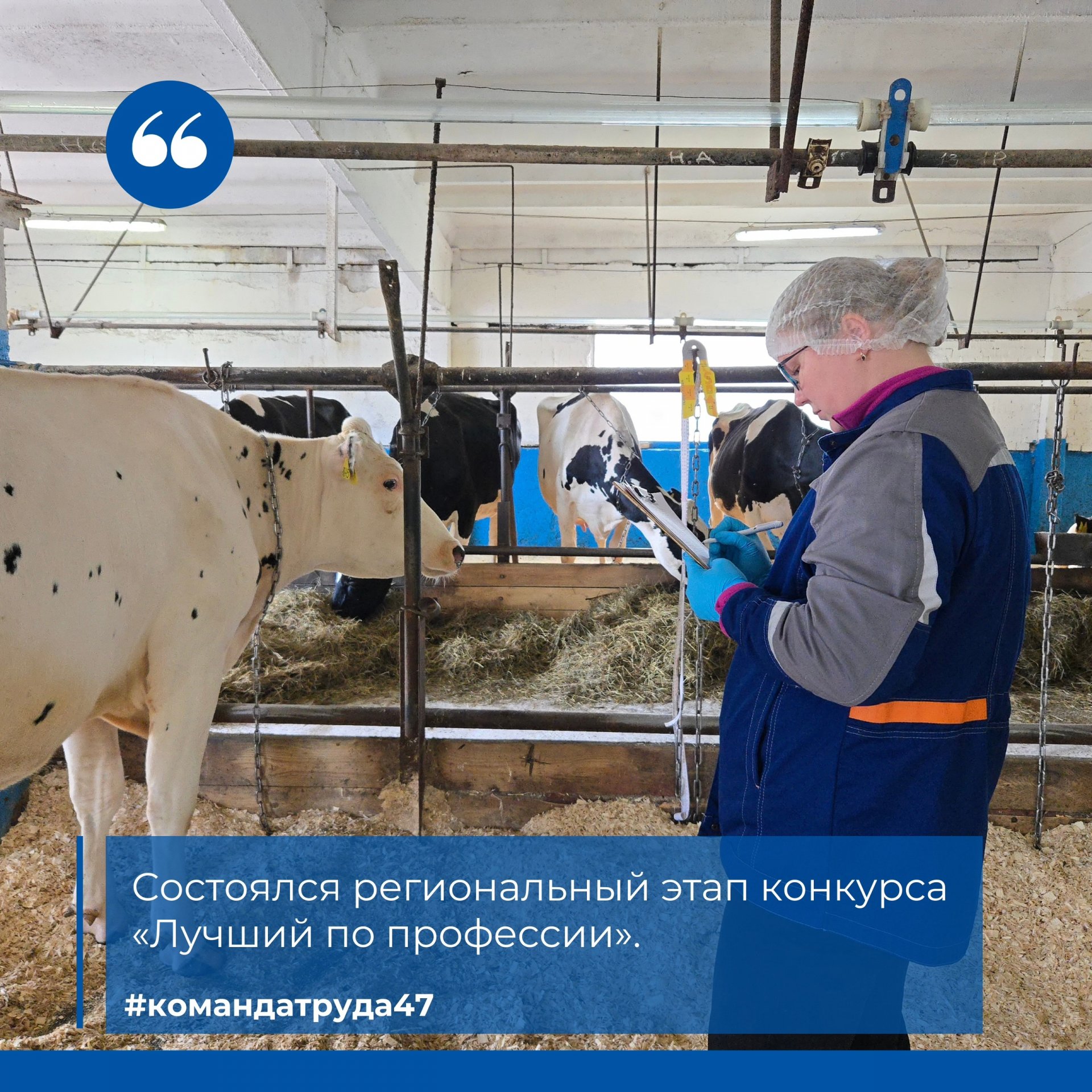 Зоотехник из Всеволожского района будет защищать честь Ленинградской области на федеральном конкурсе - Василина Лиховая зоотехник из ЗАО «Племенной завод Приневское» одержала победу на региональном конку