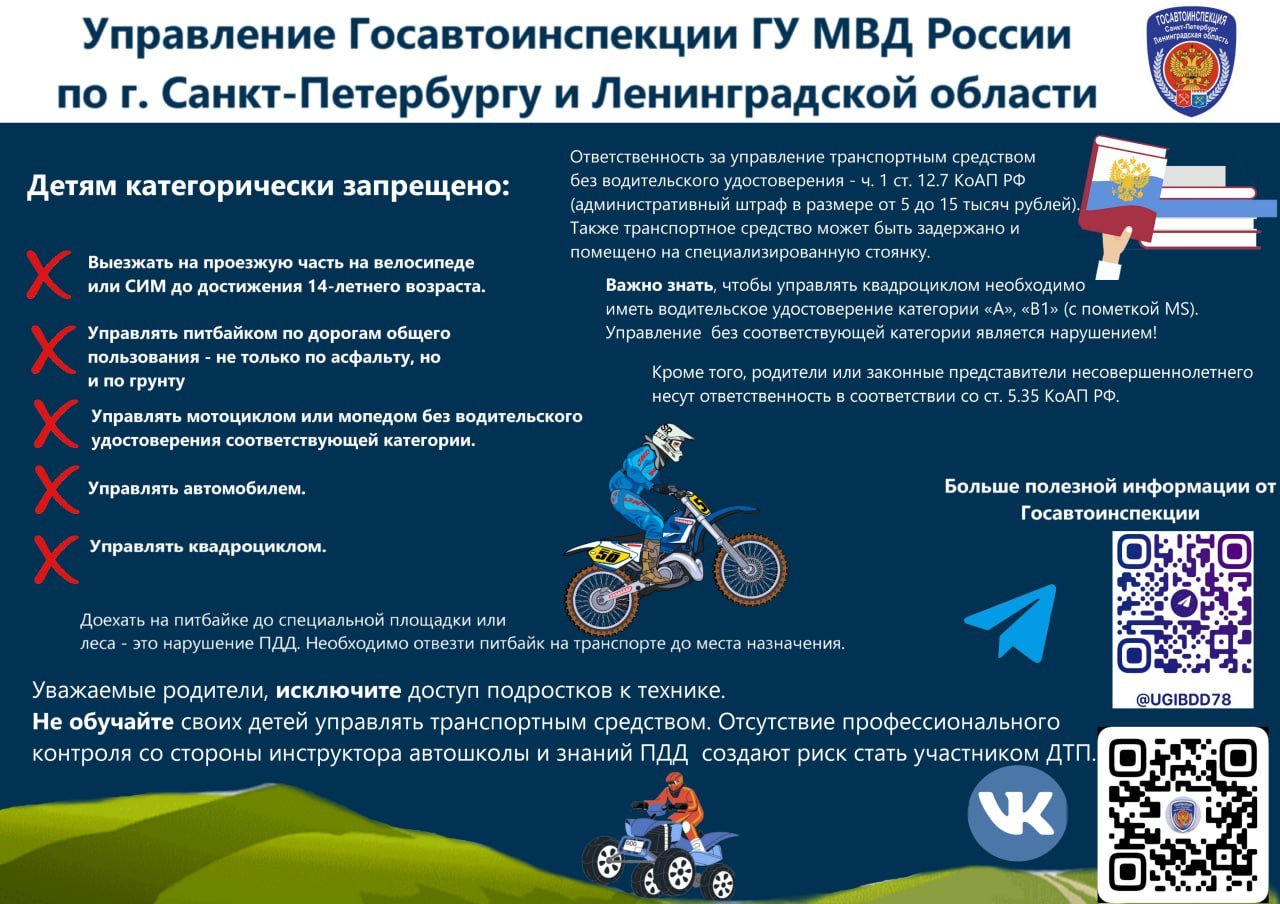 В Ленобласти проходит рейд по проверке молодых водителей - Проверочные мероприятия на дорогах региона пройдут до конца недели.