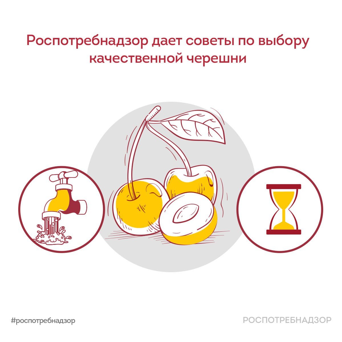 Роспотребнадзор напомнил, как выбрать качественную черешню - Роспотребнадзор напомнил жителям Ленинградской области, как выбрать хорошую черешню и как цвет ягоды