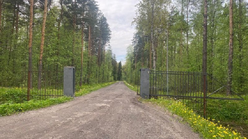 В СНТ во Всеволожском районе демонтировали незаконные ворота на землях лесного фонда - После вмешательства природоохранной прокуратуры Ленинградской области в СНТ «Варколово-1» во Всеволо