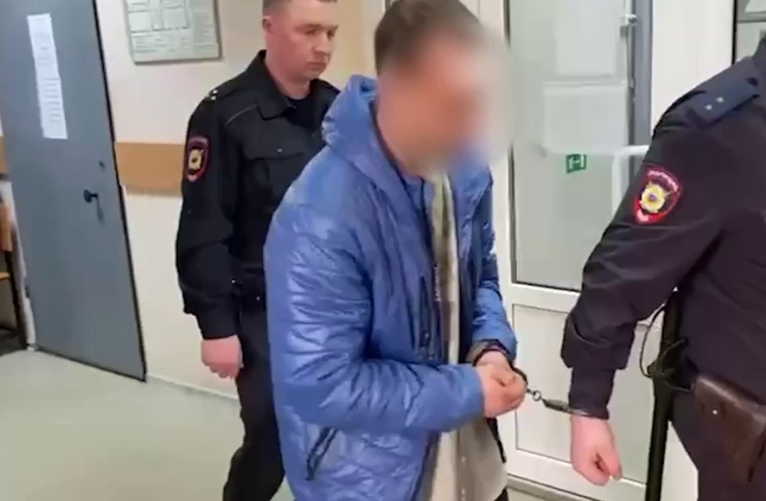 Житель Ленобласти предстанет перед судом за покушение на двух полицейских - Уголовное дело против жителя Ломоносовского района направлено в суд.