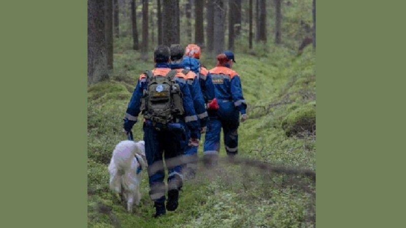Спасатели Ленобласти вывели компанию, заблудившуюся между двух ручьев в лесу - В Выборгском районе Ленинградской области поисково-спасательный отряд «Берег» нашел четверых человек
