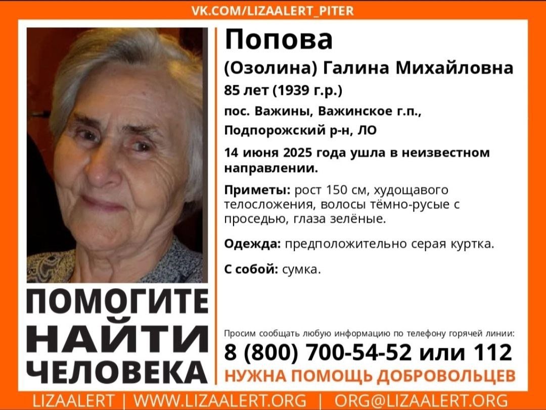 В поселке Важины без вести пропала 85-летняя женщина - Если вы видели ее или что-то знаете, свяжитесь с представителем «Лиза Алерт»: Алла (Фиалка) 89602606