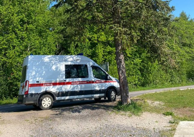В Ленобласти снизилось число вызовов скорой помощи к сердечникам и детям - В то же время количество заявок на ДТП в регионе выросло.