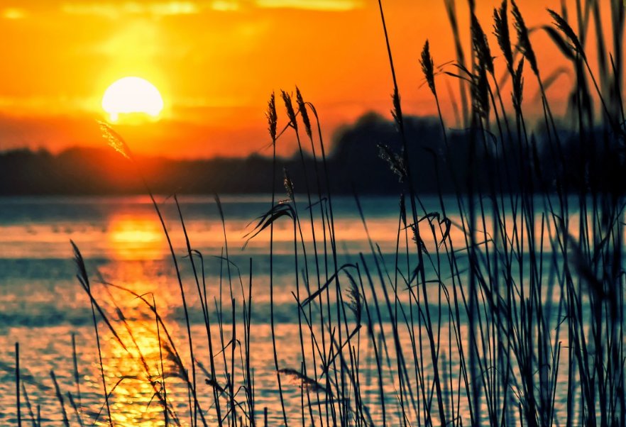 Специалисты назвали самые безопасные для купания водоемы Ленобласти - Согласно лабораторным исследованиям, пригодными для отдыха являются пять водоемов региона.
