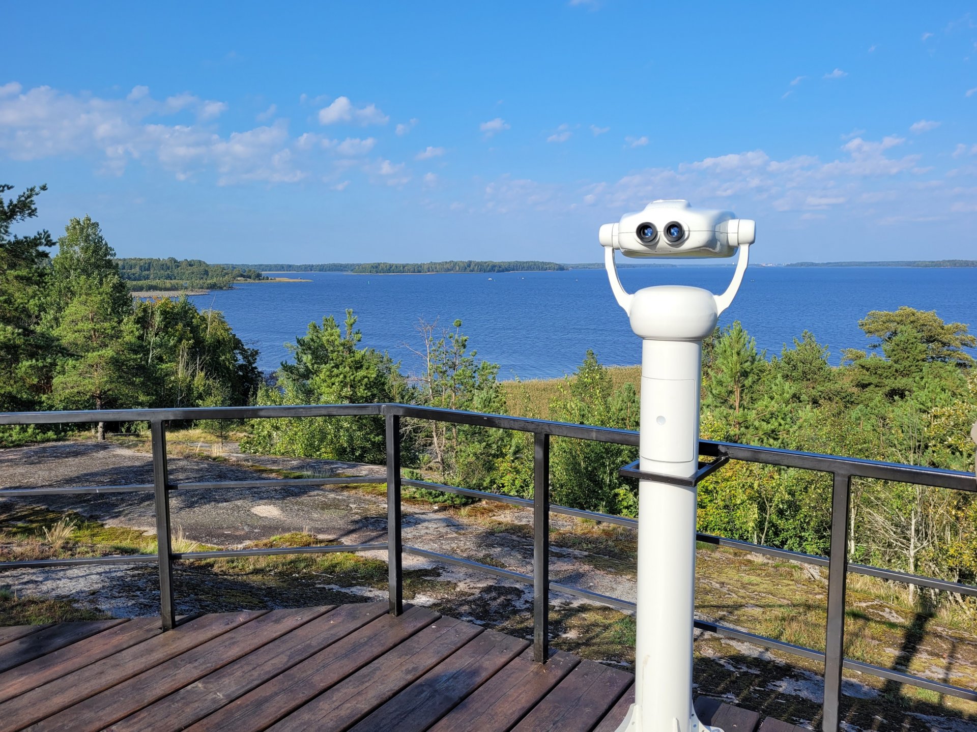 Кратковременные дожди, грозы и до +31°C – погода в Ленобласти на 25 июля - Температура воздуха ночью +14...+19°C, местами до +11°C, днем +26...+31°C.
