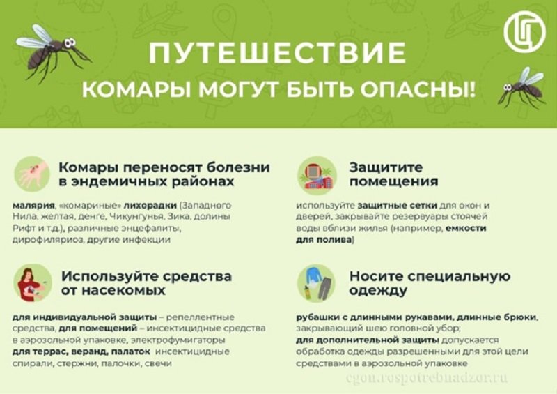 Роспотребнадзор рассказал, чем так опасны комары - На фоне аномально теплого лета Роспотребнадзор напомнил жителям Ленинградской области о лихорадке За