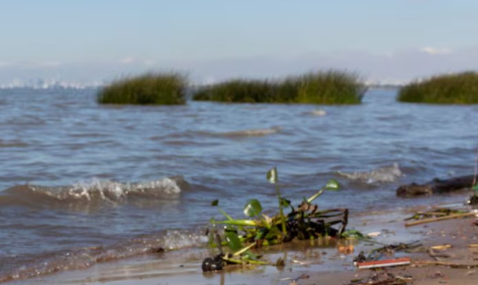 В Ленобласти не осталось безопасных для купания водоемов - Роспотребнадзор порекомендовал избегать популярных мест отдыха у воды.