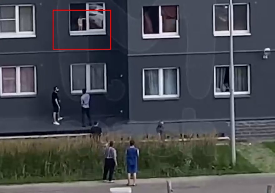 Прохожие спасли младенца от падения из окна в Петербурге - Неравнодушные всячески отвлекали малыша и пытались докричаться до его родителей. К счастью, ребенок