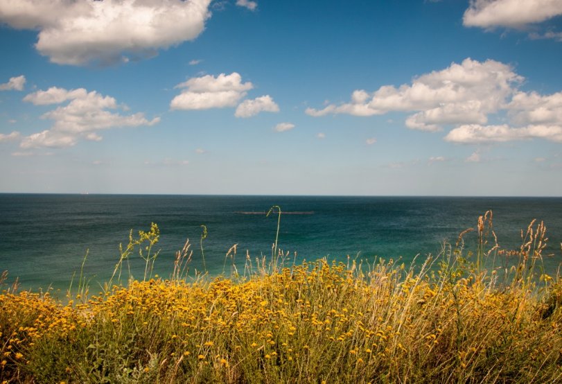 В Ленобласти осталось всего три безопасных для купания водоема - Роспотребнадзор опубликовал актуальные данные о качестве воды в популярных местах отдыха.