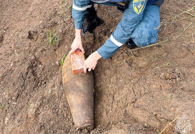В лесу под Всеволожском обнаружили авиабомбу времен войны - В лесном массиве во Всеволожском районе очевидцы наткнулись на авиабомбу ФАБ-50 времен Великой Отече