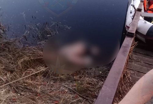 Тело неизвестного нашли на берегу Луги - Полиция выясняет обстоятельства гибели мужчины в Лужском районе.