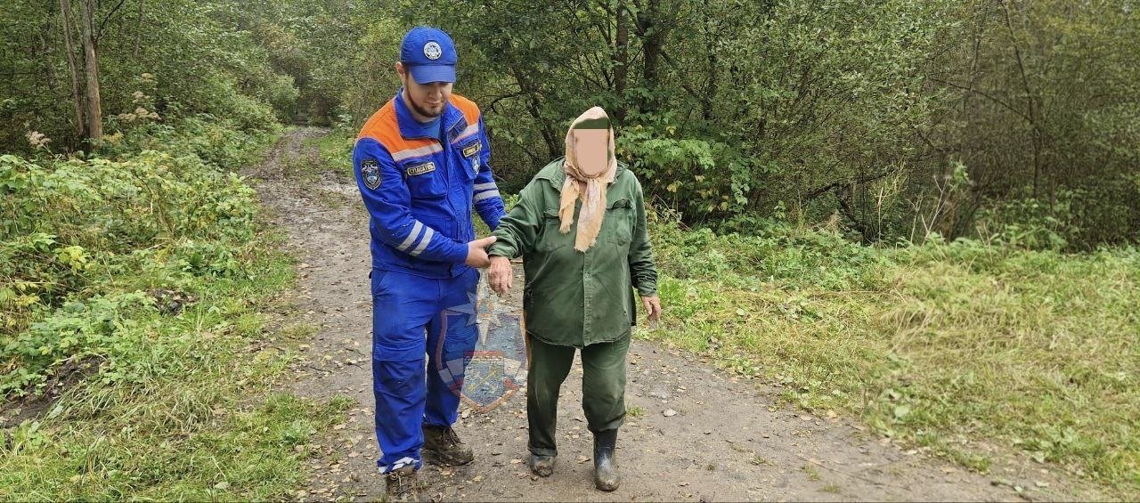 Спасатели вывели 82-летнюю женщину из леса у Красниц - У 82-летней пенсионерки был заряжен телефон, и она сохраняла связь со спасателями.