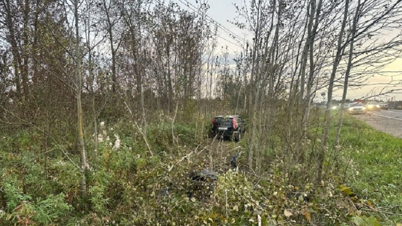 Иномарка съехала в кювет и въехала в дерево в Гатчинском округе. Водитель погиб - Автомобиль «Хавал Н5» съехал в кювет и въехал в дерево 15 сентября около 17:30 в деревне Антелево Га