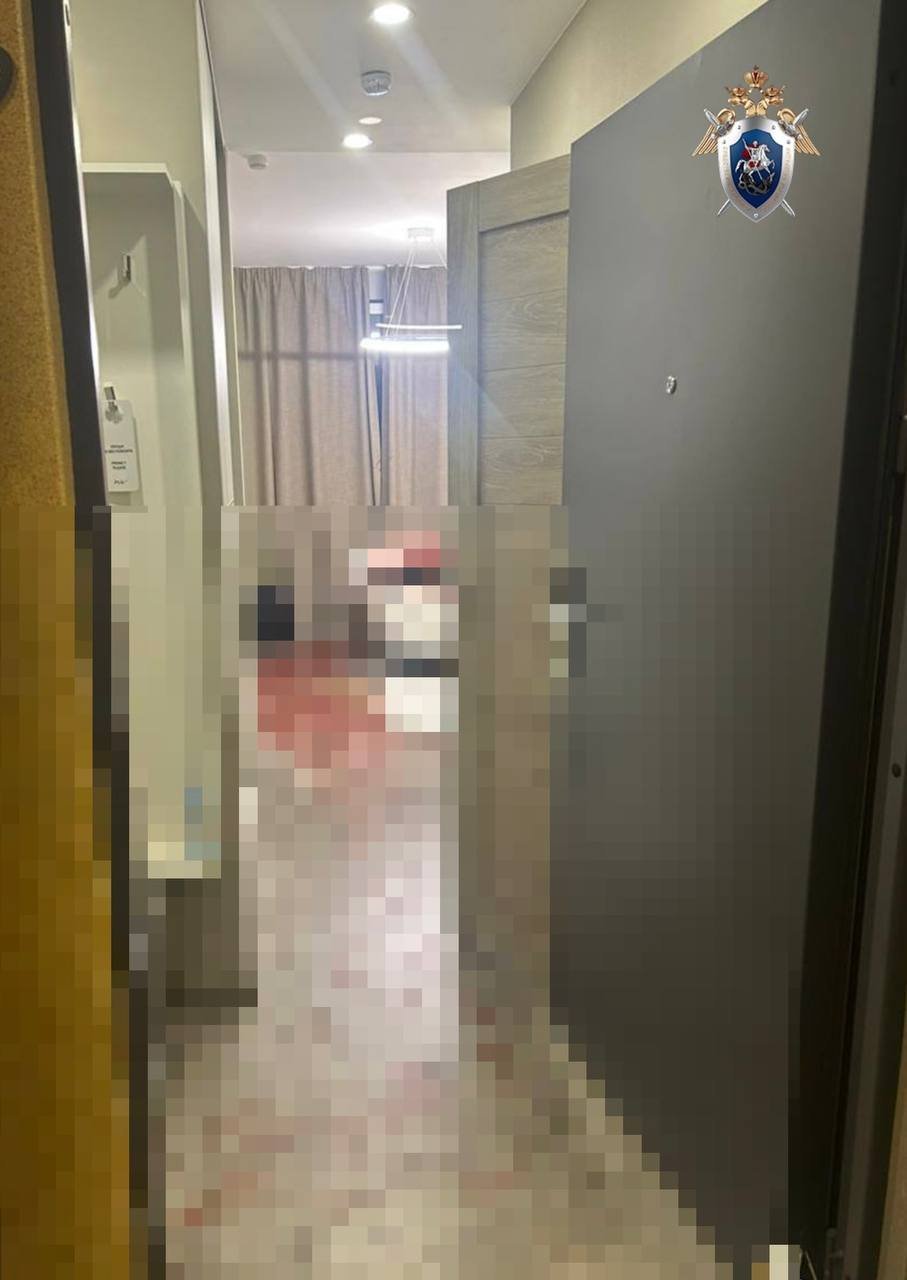 Студент, зарезавший 15-летнюю школьницу в апарт-отеле в Петербурге, признал вину - Подробные показания 18-летний Максим давать отказался, сославшись на 51 статью Конституции РФ.