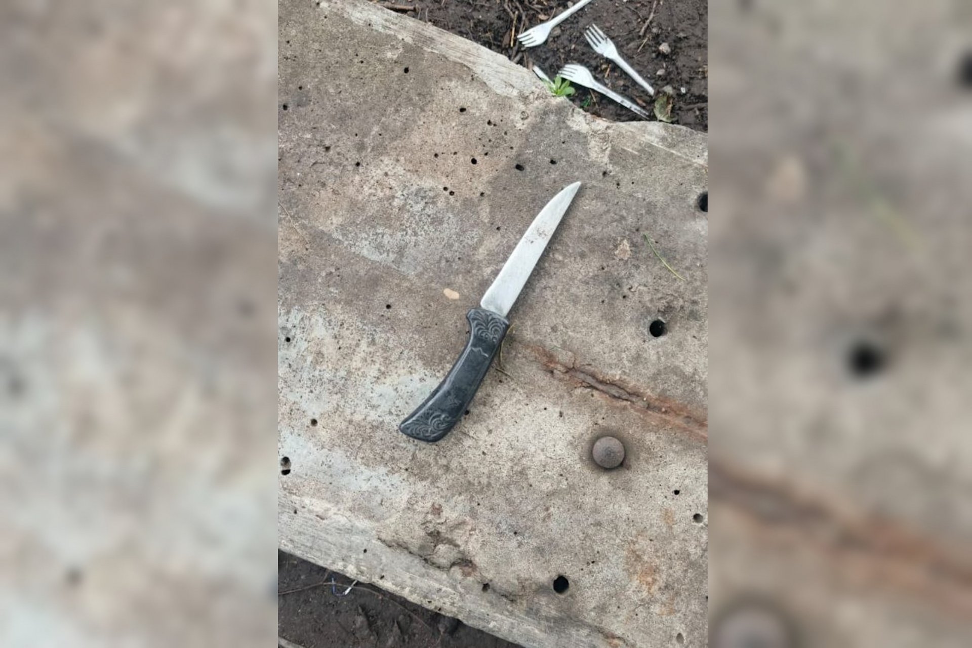 Женщина угрожала ножом школьнику и его матери в Выборге - Днем 3 сентября во дворе дома на Ленинградском шоссе в Выборге 54-летняя женщина в состоянии опьянен
