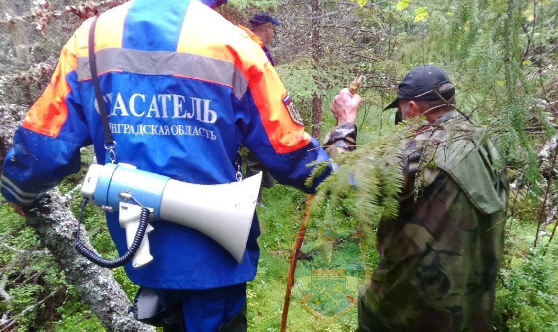 В Ленобласти спасли пожилого мужчину, заблудившегося в лесу - Благодаря слаженным действиям спасателей и волонтеров, пожилого мужчину удалось оперативно найти и о