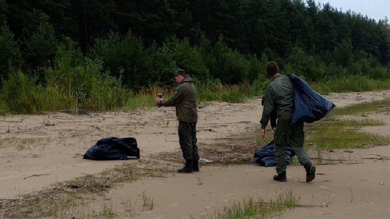 Бутылки, пакеты, рыболовные сети собрали с берегов Ладоги - На берегах Ладожского озера сотрудники и волонтеры Нижне-Свирского заповедника регулярно проводят ак