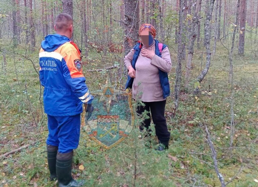 Спасатели Ленобласти помогли двум заплутавшим в лесу пенсионерам - Один из них отправился в лес за грибами и потерял ключи от машины.