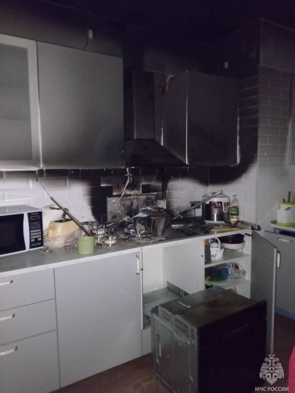 В Петербурге кот устроил пожар в квартире - К счастью, обошлось без пострадавших.